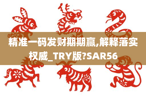 精准一码发财期期赢,解释落实权威_TRY版?SAR56