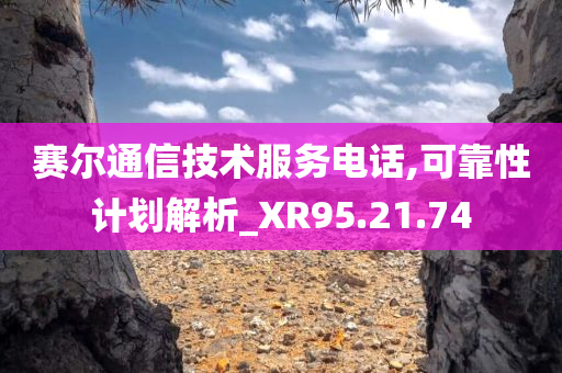 赛尔通信技术服务电话,可靠性计划解析_XR95.21.74