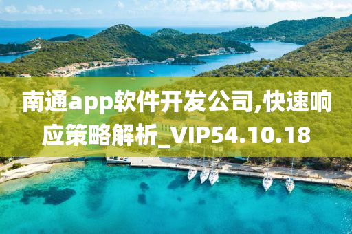 南通app软件开发公司,快速响应策略解析_VIP54.10.18