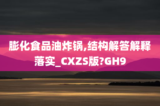 膨化食品油炸锅,结构解答解释落实_CXZS版?GH9