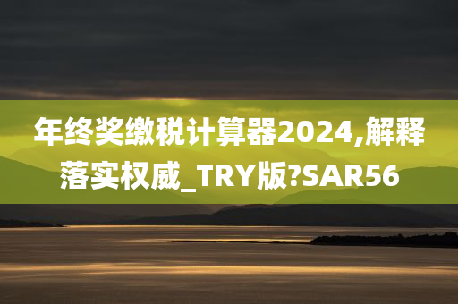 年终奖缴税计算器2024,解释落实权威_TRY版?SAR56