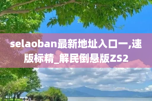 selaoban最新地址入口一,速版标精_解民倒悬版ZS2