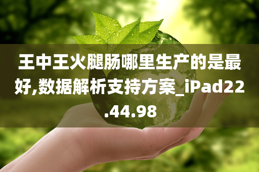 王中王火腿肠哪里生产的是最好,数据解析支持方案_iPad22.44.98