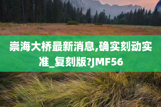 崇海大桥最新消息,确实刻动实准_复刻版?JMF56