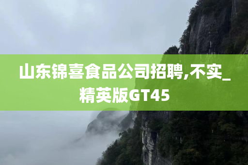 山东锦喜食品公司招聘,不实_精英版GT45