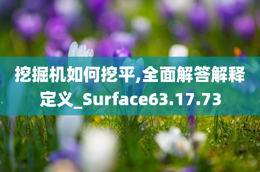 挖掘机如何挖平,全面解答解释定义_Surface63.17.73