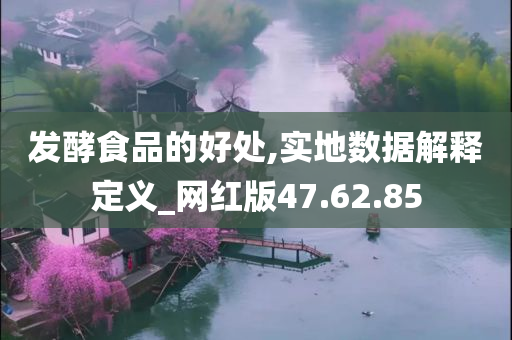 发酵食品的好处,实地数据解释定义_网红版47.62.85