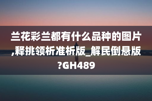 兰花彩兰都有什么品种的图片,释挑领析准析版_解民倒悬版?GH489