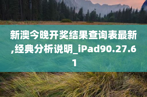 新澳今晚开奖结果查询表最新,经典分析说明_iPad90.27.61