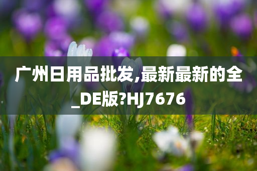 广州日用品批发,最新最新的全_DE版?HJ7676