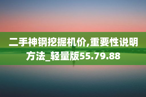 二手神钢挖掘机价,重要性说明方法_轻量版55.79.88