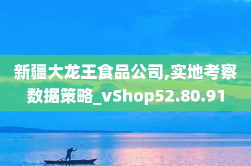 新疆大龙王食品公司,实地考察数据策略_vShop52.80.91