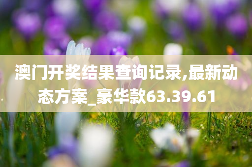 澳门开奖结果查询记录,最新动态方案_豪华款63.39.61