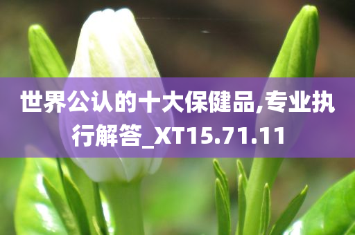 世界公认的十大保健品,专业执行解答_XT15.71.11