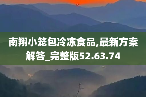 南翔小笼包冷冻食品,最新方案解答_完整版52.63.74