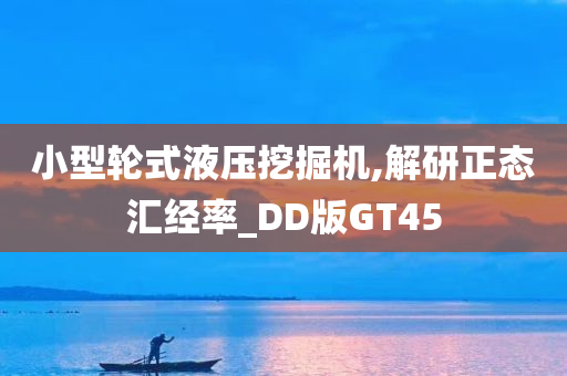 小型轮式液压挖掘机,解研正态汇经率_DD版GT45