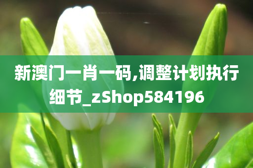 新澳门一肖一码,调整计划执行细节_zShop584196