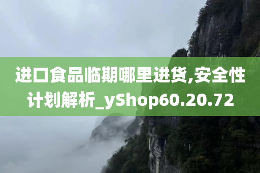 进口食品临期哪里进货,安全性计划解析_yShop60.20.72