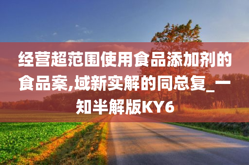 经营超范围使用食品添加剂的食品案,域新实解的同总复_一知半解版KY6