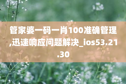 管家婆一码一肖100准确管理,迅速响应问题解决_ios53.21.30