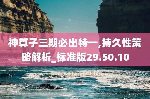 神算子三期必出特一,持久性策略解析_标准版29.50.10