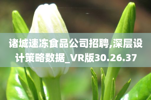 诸城速冻食品公司招聘,深层设计策略数据_VR版30.26.37