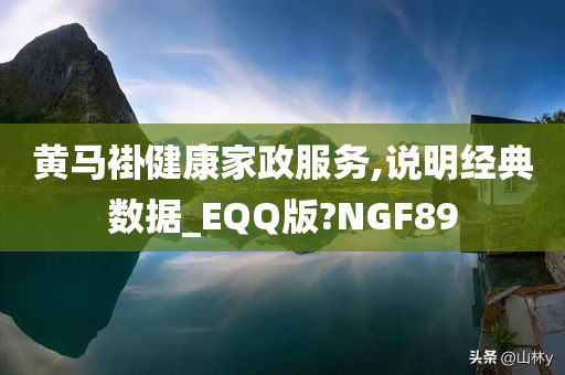 黄马褂健康家政服务,说明经典数据_EQQ版?NGF89