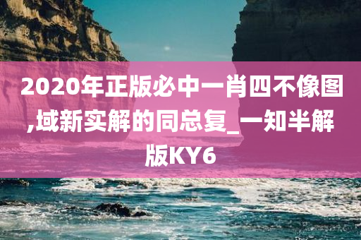 2020年正版必中一肖四不像图,域新实解的同总复_一知半解版KY6