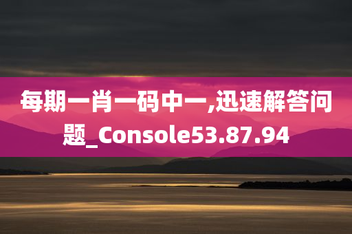 每期一肖一码中一,迅速解答问题_Console53.87.94