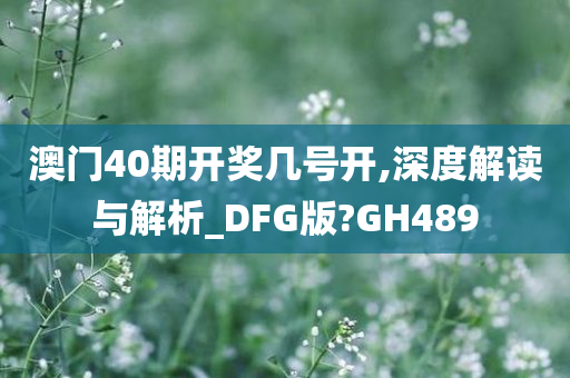 澳门40期开奖几号开,深度解读与解析_DFG版?GH489