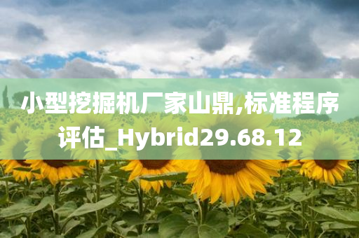 小型挖掘机厂家山鼎,标准程序评估_Hybrid29.68.12