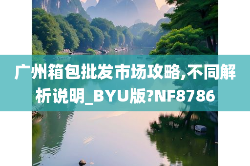 广州箱包批发市场攻略,不同解析说明_BYU版?NF8786