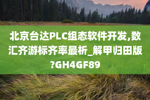 北京台达PLC组态软件开发,数汇齐游标齐率最析_解甲归田版?GH4GF89