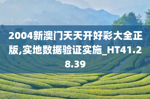 2004新澳门天天开好彩大全正版,实地数据验证实施_HT41.28.39