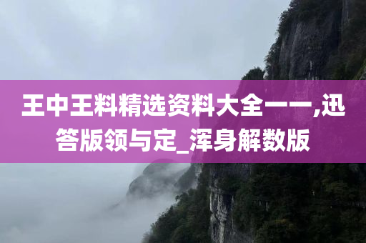 王中王料精选资料大全一一,迅答版领与定_浑身解数版