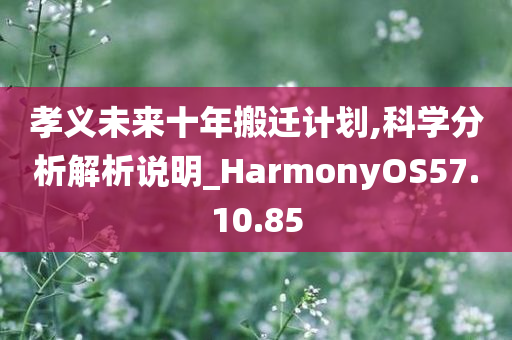 孝义未来十年搬迁计划,科学分析解析说明_HarmonyOS57.10.85