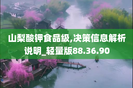 山梨酸钾食品级,决策信息解析说明_轻量版88.36.90