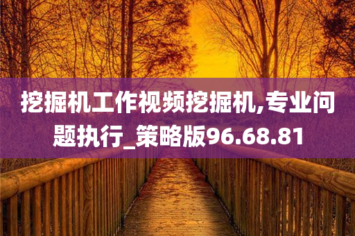 挖掘机工作视频挖掘机,专业问题执行_策略版96.68.81