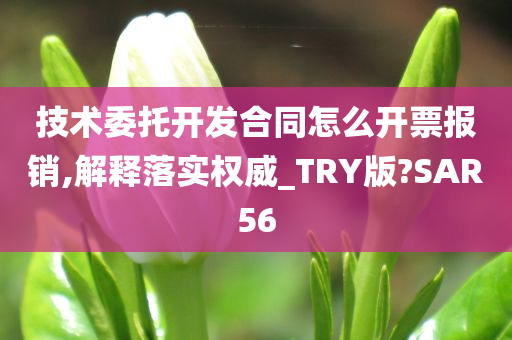 技术委托开发合同怎么开票报销,解释落实权威_TRY版?SAR56