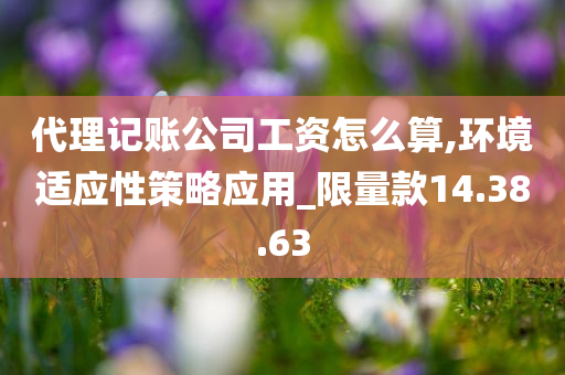 代理记账公司工资怎么算,环境适应性策略应用_限量款14.38.63