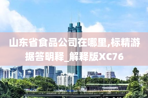 山东省食品公司在哪里,标精游据答明释_解释版XC76