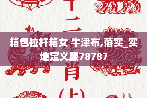 箱包拉杆箱女 牛津布,落实_实地定义版78787