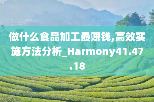 做什么食品加工最赚钱,高效实施方法分析_Harmony41.47.18