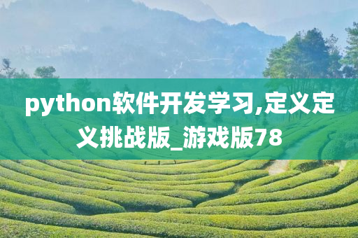 python软件开发学习,定义定义挑战版_游戏版78