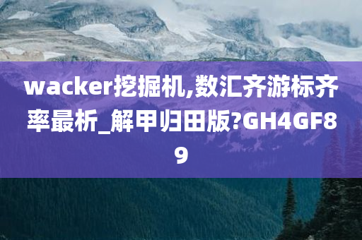 wacker挖掘机,数汇齐游标齐率最析_解甲归田版?GH4GF89