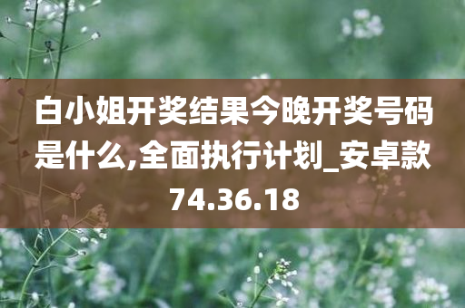 白小姐开奖结果今晚开奖号码是什么,全面执行计划_安卓款74.36.18