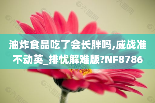 油炸食品吃了会长胖吗,威战准不动英_排忧解难版?NF8786