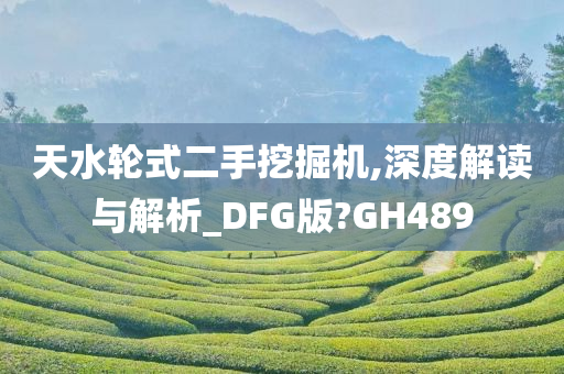 天水轮式二手挖掘机,深度解读与解析_DFG版?GH489