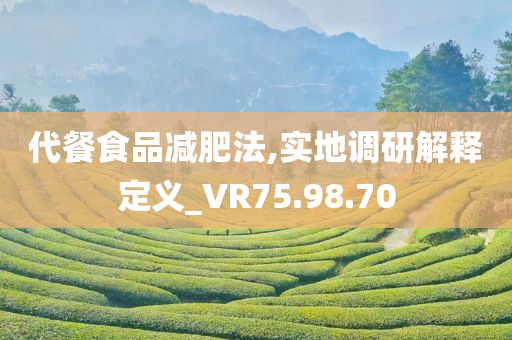 代餐食品减肥法,实地调研解释定义_VR75.98.70