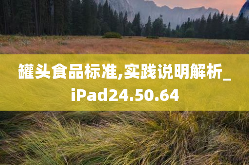 罐头食品标准,实践说明解析_iPad24.50.64